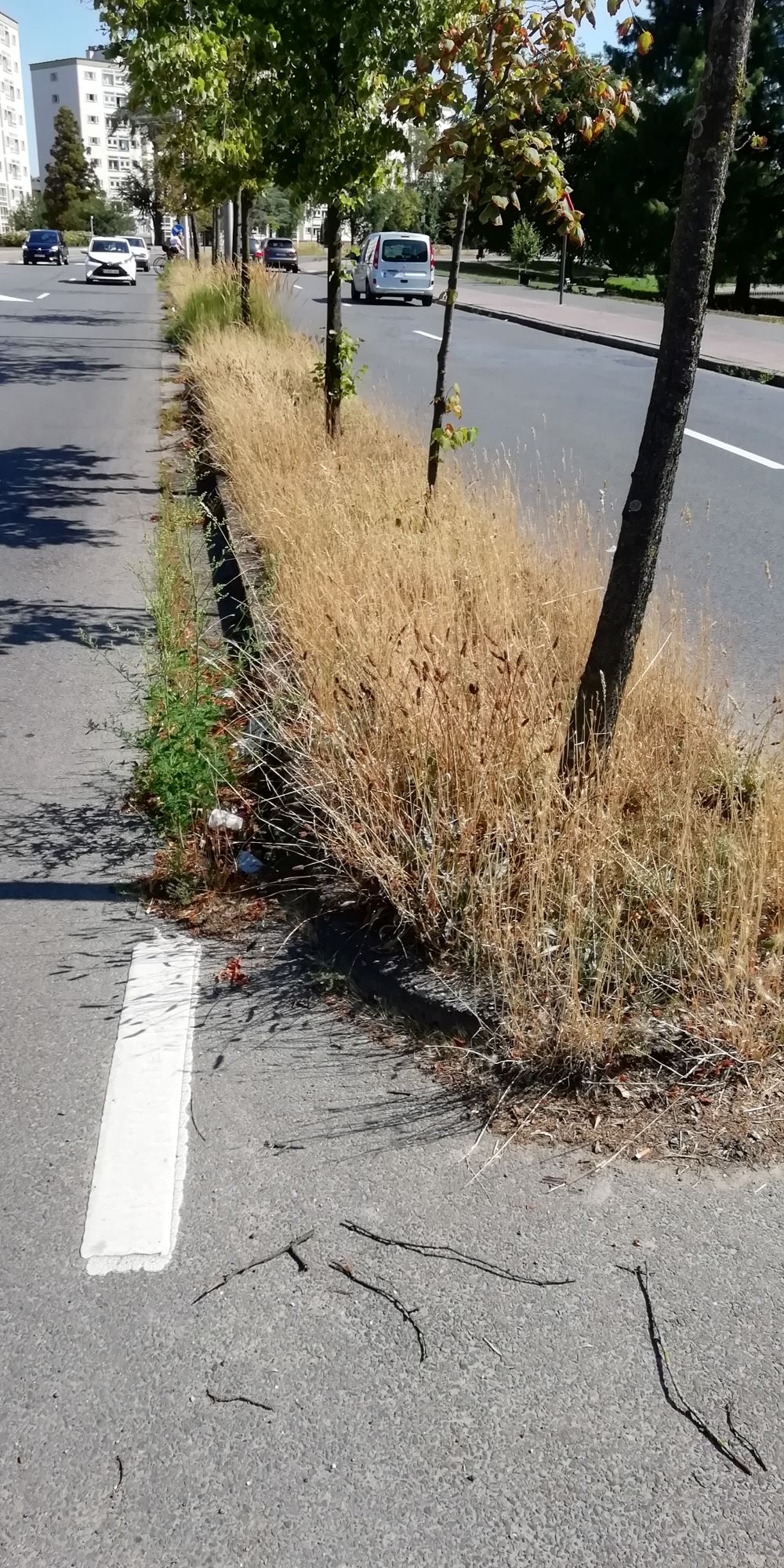 middenberm geen gras meer1