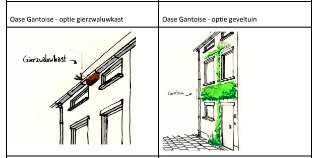 gierzwaluwkast geveltuin