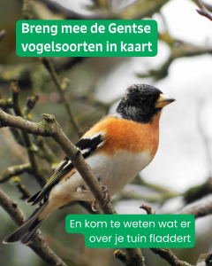 Breng mee de Gentse vogelsoorten in kaart